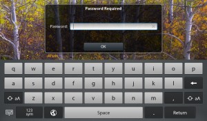 Device password prompt