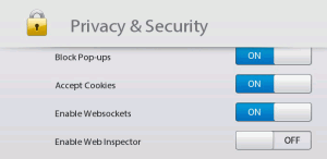 PlayBook borwser privacy settings