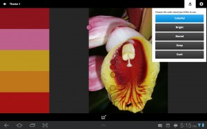 Kuler provides additional color themes based on the photo