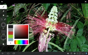 Screen capture of modifying the line color.