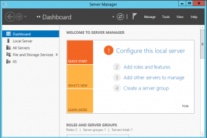Server Manager Interface