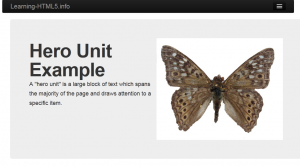 Example of hero unit on web page