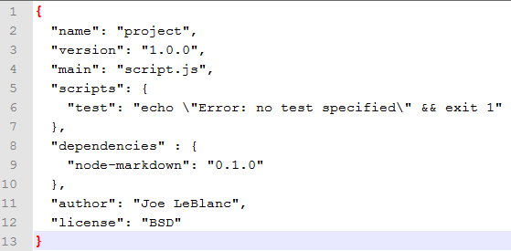 package.json file
