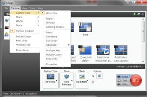 Options in the SnagIt menu