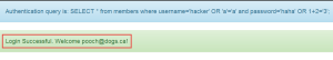 Successful execution of SQL Injection