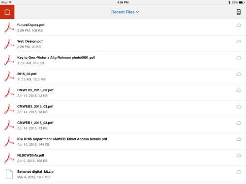 Files avaiolable to my iPad in Acrobat app