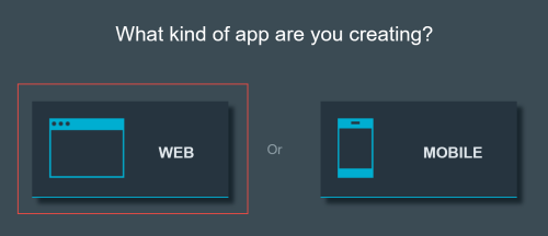 Web or Mobile app