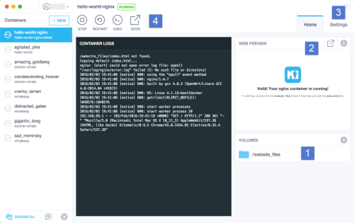 Nginx container running