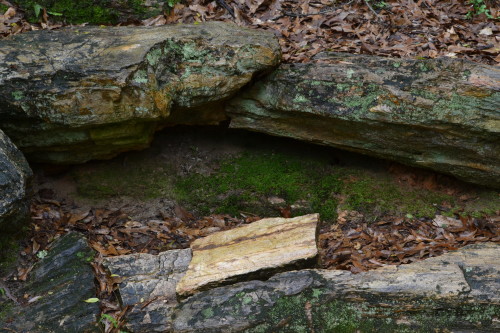 Wood fragments