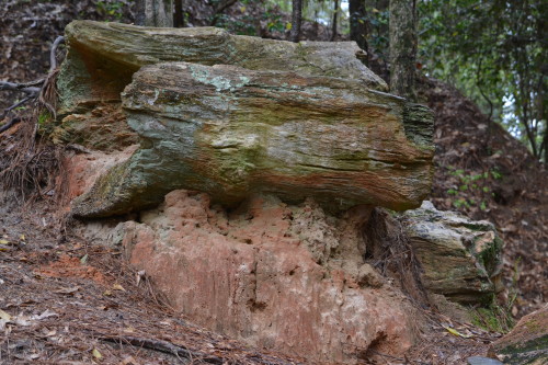 Petrified wood eroding from cliff