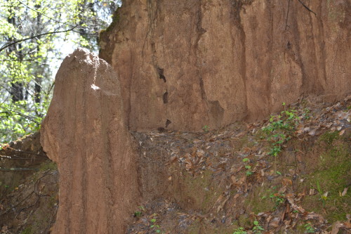 Cliff face