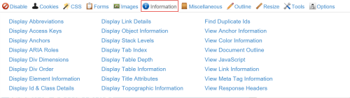 Developer toolbar with Information tab highlighted
