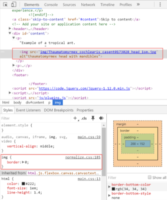Inspecting the image element