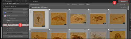 Steps to publish a collection to Koken from Lightroom