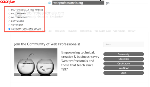 Screen capture showing WebProfessionals site appearance for those with no color receptors using ColorFuzz site