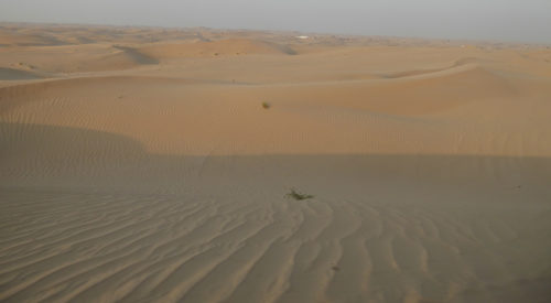 View of the desert