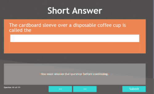 Screen capture of Short Answer Question in Captivate
