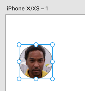 Plugin has populated the circle shape with the photo of a random individual.