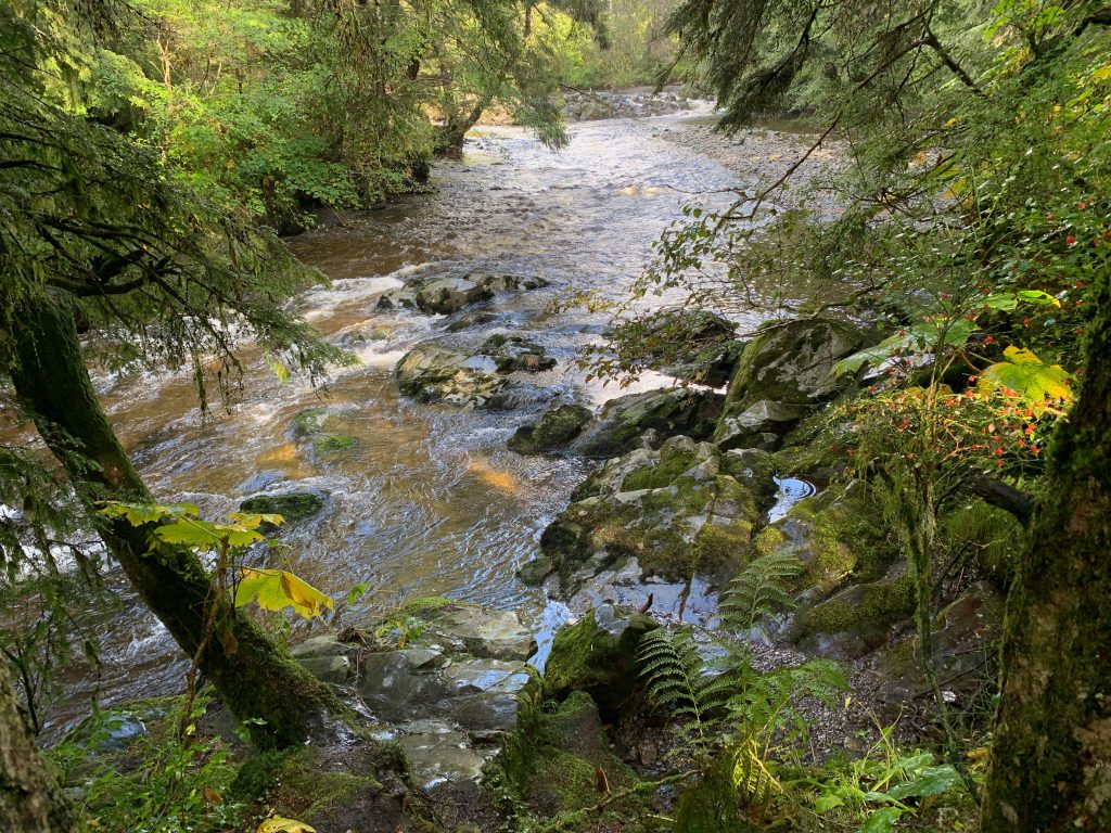 Stream with rapid water near Alaska Raptor Center