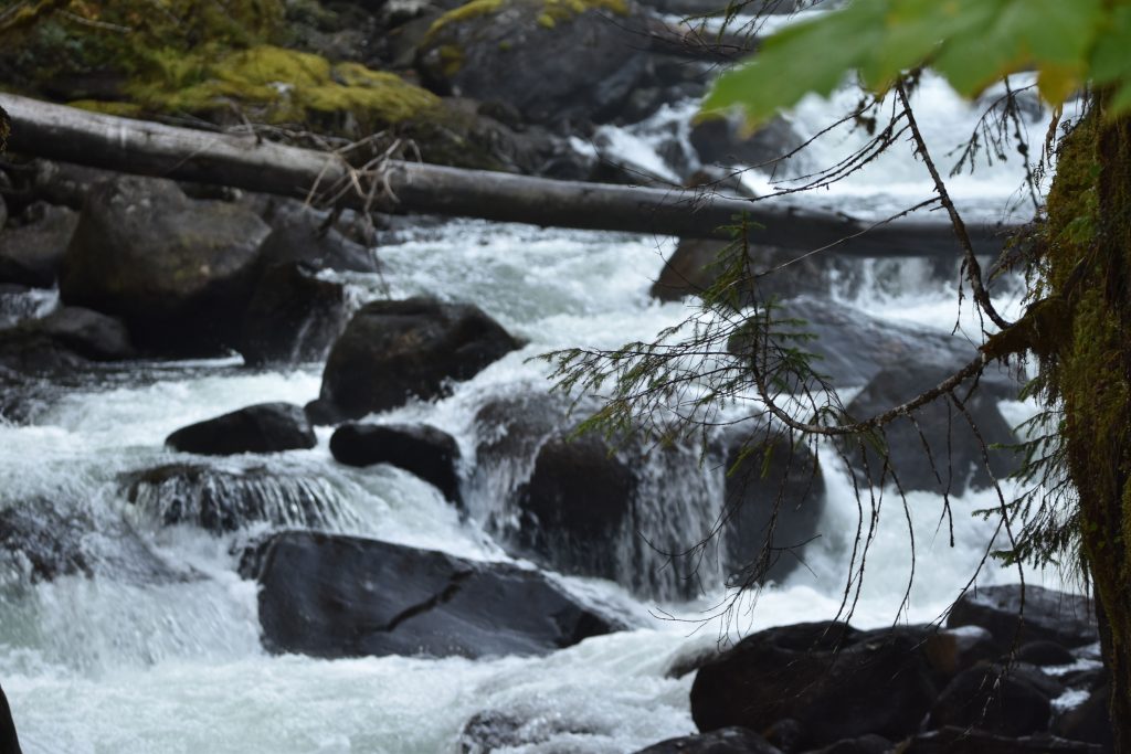 Rushing water in Cascade Creek