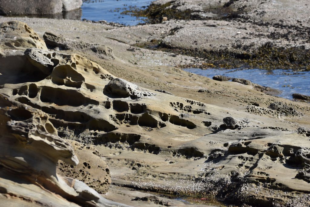 Weathered sandstone with distinctive honeycomb pattern