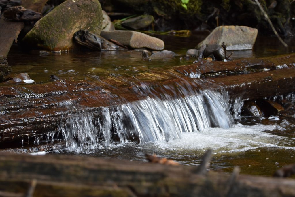 Water flowing over fallen log.