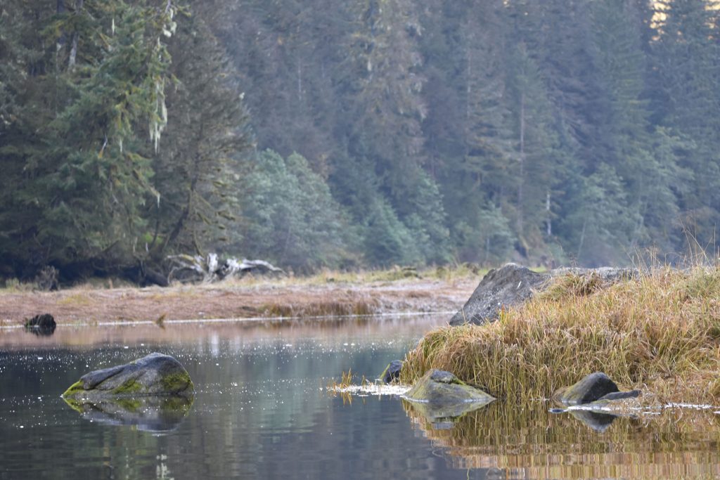 Still water with reflections of rocks and grasses near the edge of the cove.