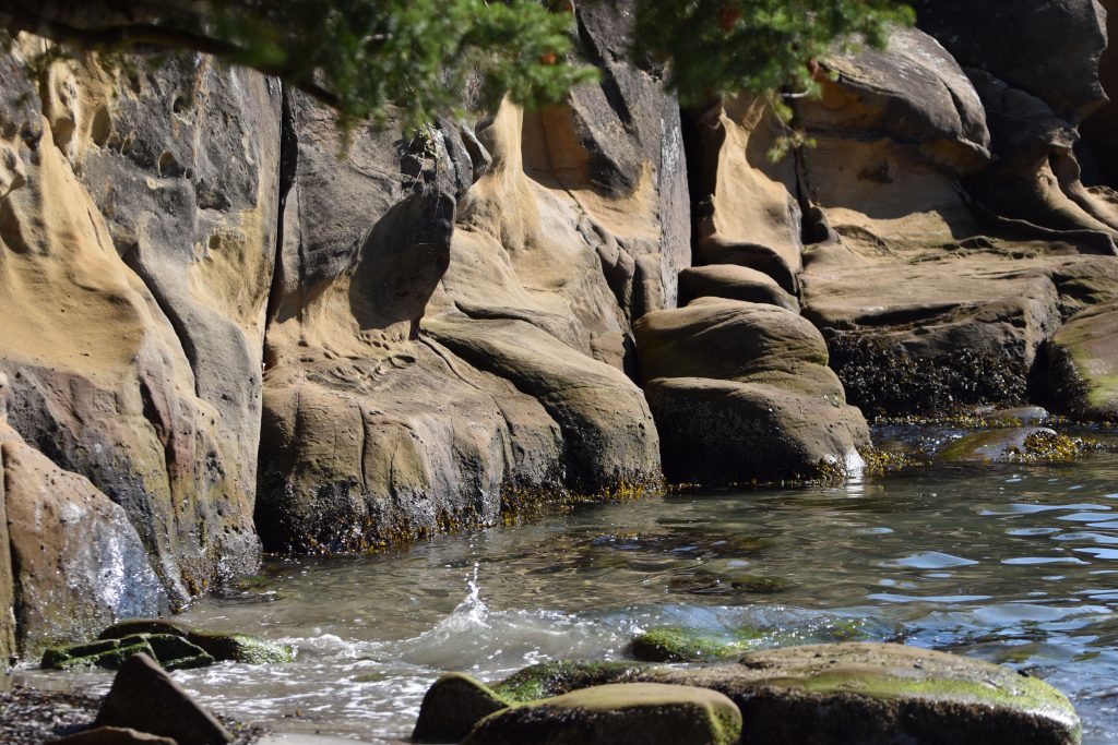 Shoreline with Chuckanut Sandstone showing its honeycomb appearance. Some water droplets are rising where a wave recently created on the shore.