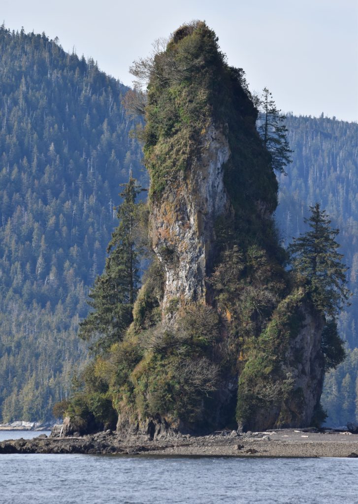 New Eddystone Rock. This is thought to be the core of an extinct volcano.