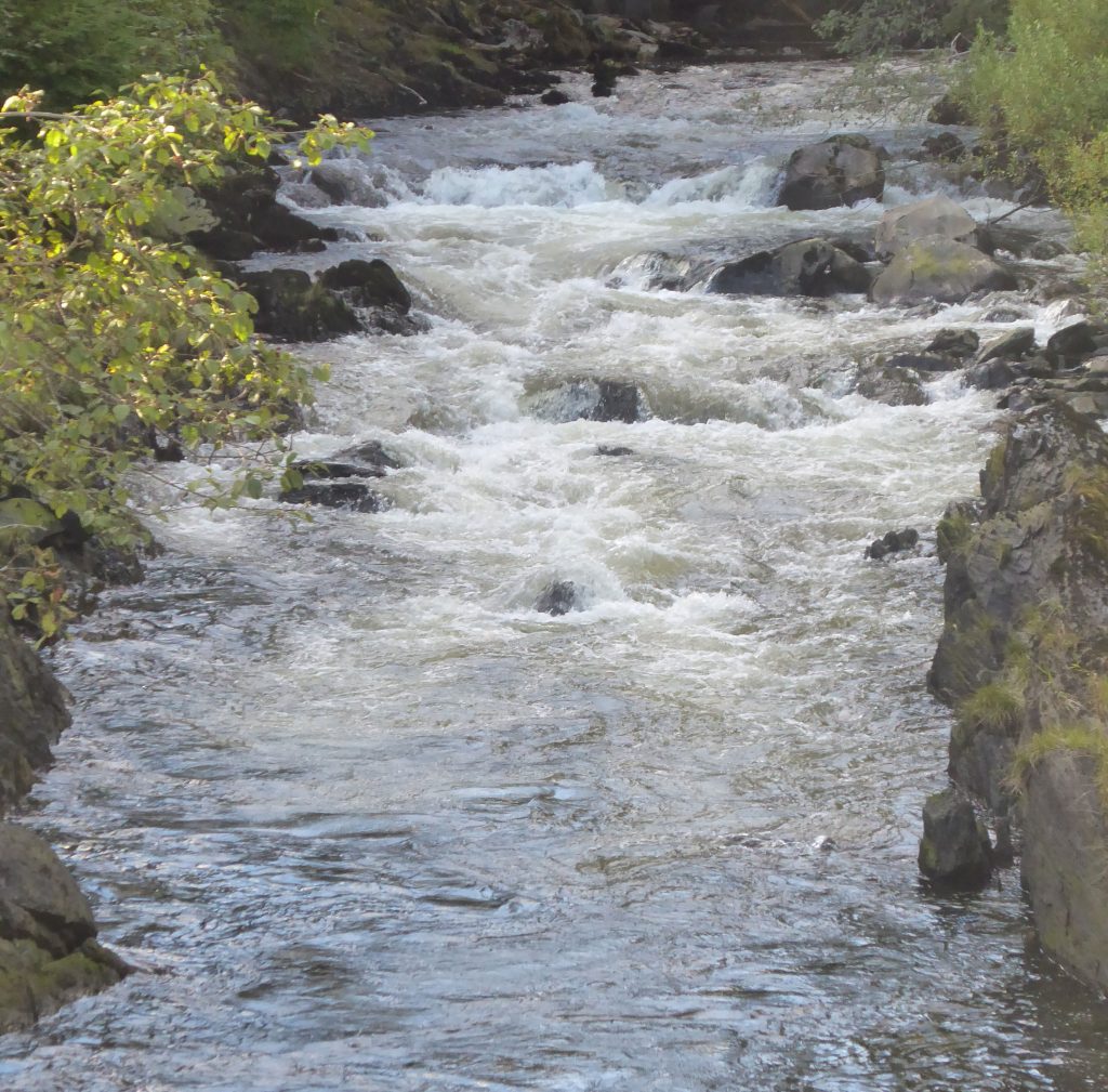 Rapid flowing water in the creek