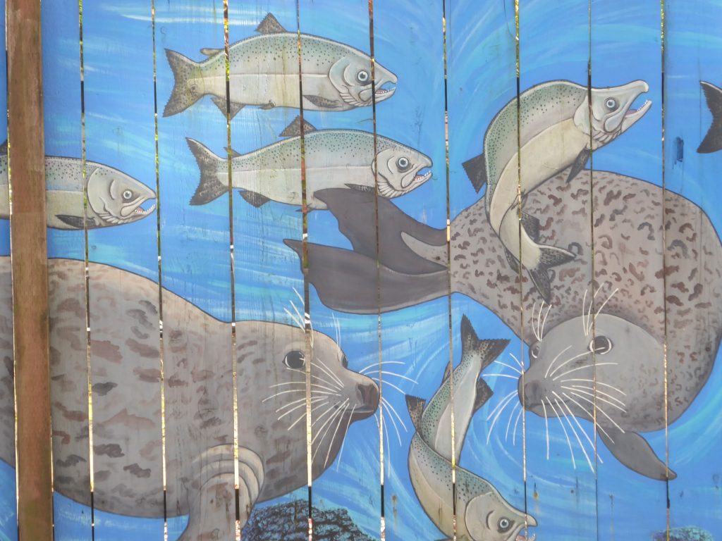 Mural showing harbor seals swimming among fish