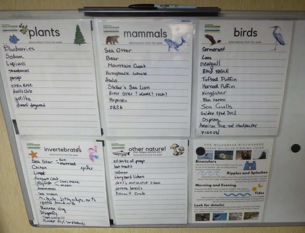 A listing of many different plants and animals and other items of nature (such as poop) observed during our voyage.