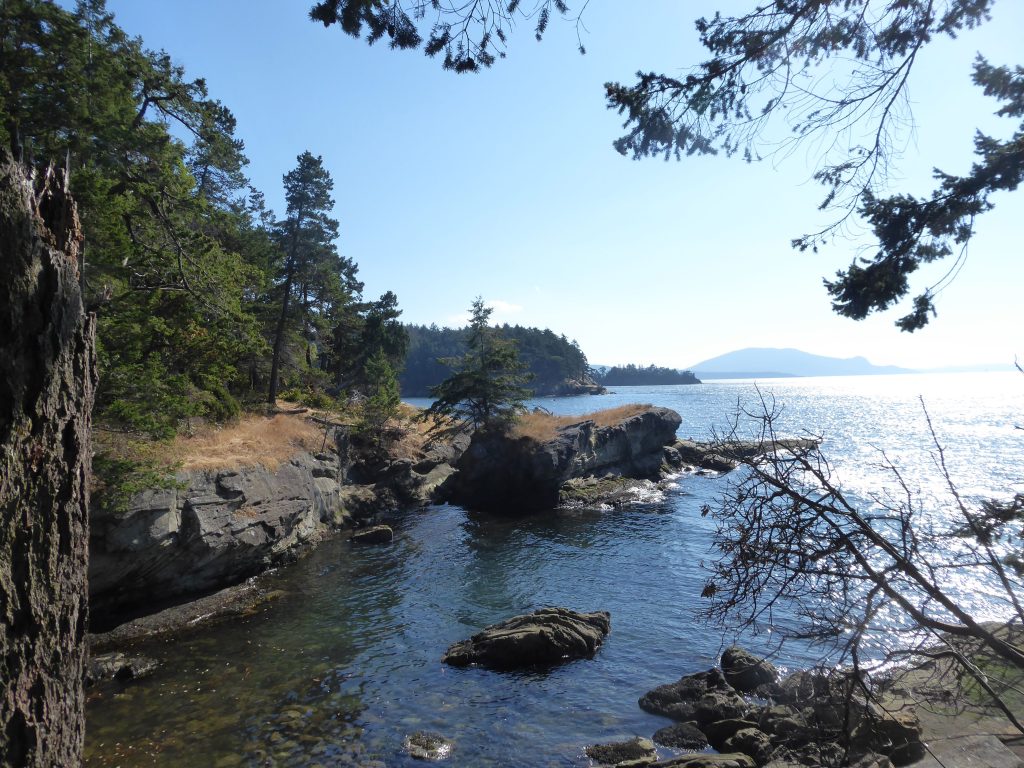 Sucia Island shoreline with many rocks and trees.